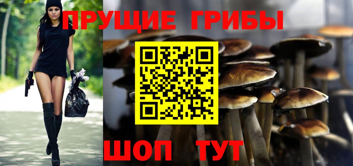 Галлюциногенные грибы мухоморы Ливны