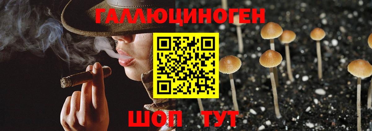 Галлюциногенные грибы мицелий  Вход с VPN  где найти   Ливны  Псилоцибиновые грибы Cubensis 